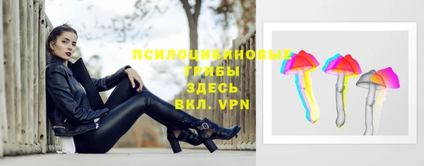 шишки Алзамай