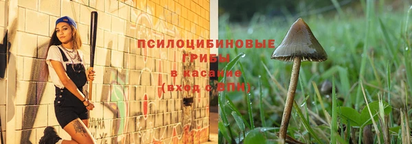 шишки Алзамай