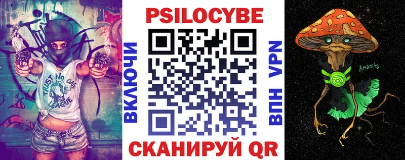 мега зеркало  Краснообск  Галлюциногенные грибы Psilocybine cubensis 