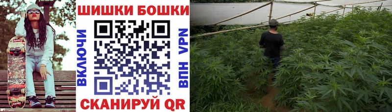 Бошки марихуана ГИДРОПОН Краснообск